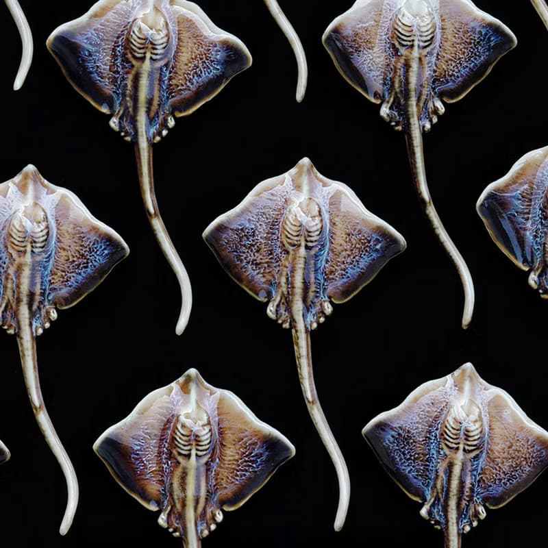 【鰩魚】新品有腔調小眾海洋生物情侶陶瓷大衣胸針