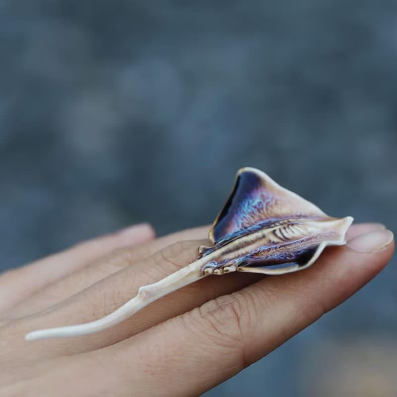【鰩魚】新品有腔調小眾海洋生物情侶陶瓷大衣胸針