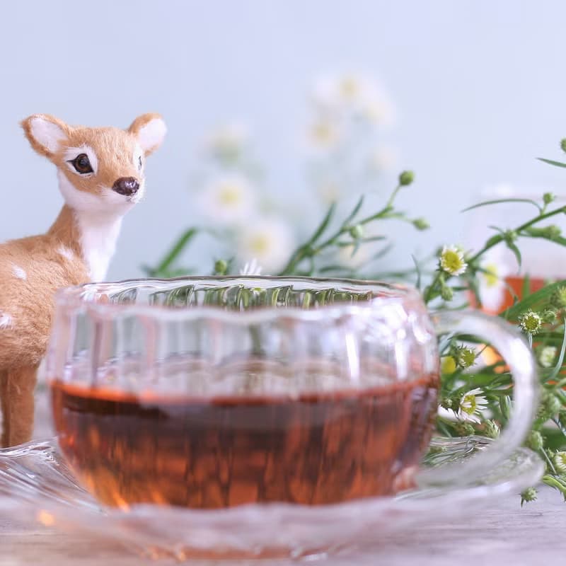 【花草茶_琥珀焦糖國寶茶】紅寶石般的南非國寶茶 幫助入睡