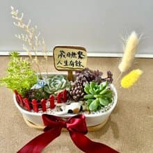 多肉組盆 多肉植物 日式枯山水 三花貓 玳瑁貓 貓奴送禮 貓咪 禪