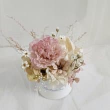 永生康乃馨盆花|生日求婚結婚捧花永生乾燥花畢業謝師禮物畢業禮