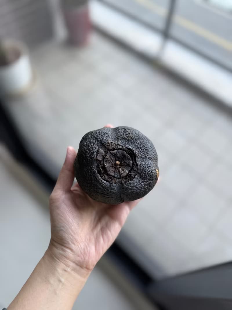 【有好食茶】陳年老酸柑茶磚 存放25年