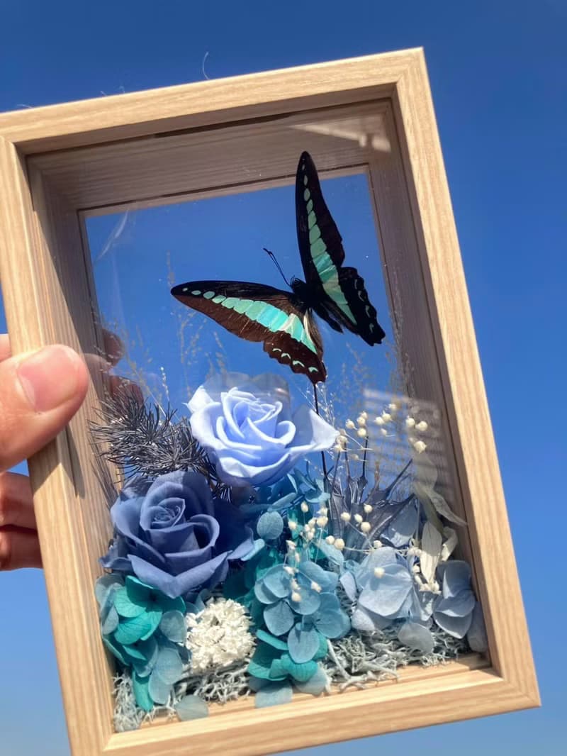 擷取天空。西洋情人節禮物。父親節。永生蝴蝶花園。永生玫瑰。