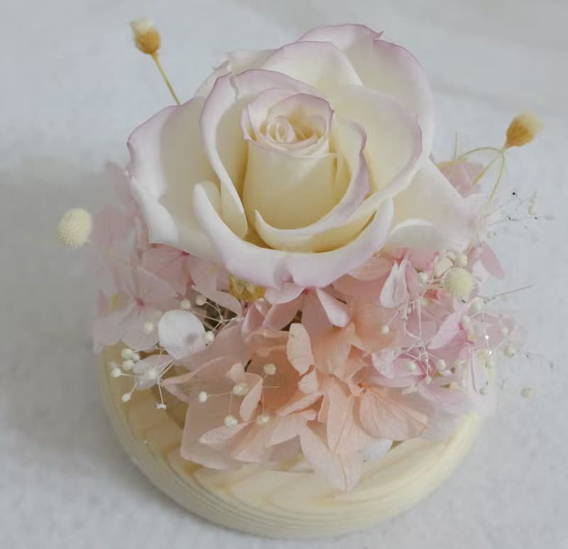 康乃馨玫瑰玻璃盅罩 結婚捧花永生花畢業花束情人節玫瑰生日禮七