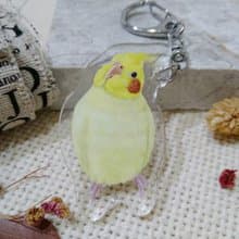 玄鳳鸚鵡_歪頭全身-壓克力吊飾(鑰匙圈)-雙面圖案-新廠商