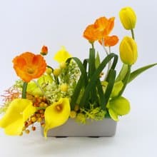 鬱金香虞美人海芋香氛花禮/入厝禮/開幕/喬遷/送禮/植栽