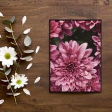 花 • 天生麗質 - 桃紅花朵寫真掛畫/新年佈置/開店禮物/餐廳擺設