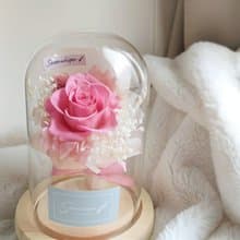 Sheer Whisper絮語藏花_迷你永生花束玻璃罩/玻璃盅花禮_無燈款