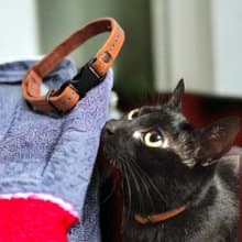 子ねこから成猫までの革製首輪 【革６色】セーフティーバックル採用のレザー製キャットカラー/ミシン糸を１２色から選択カスタム無料 / ac-28