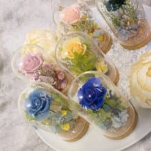Rosemary小小花園玻璃罩-童話森林  永生花/情人節/生日/畢業禮物