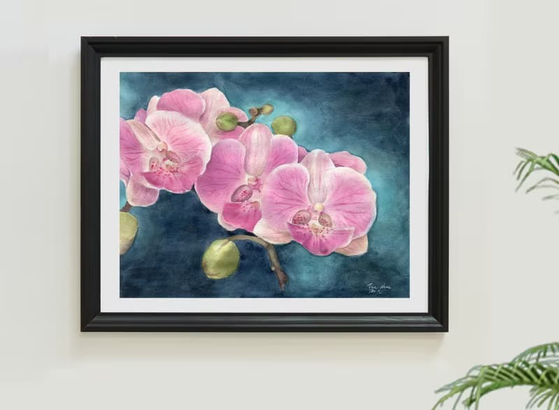 優雅蘭花－花卉綻放掛畫/植物/送禮/客廳掛畫/花/復制畫/居家裝飾