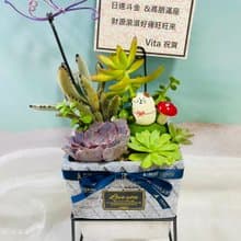 北歐風質感組盆,搭配設計鋁線花插及質感緞帶