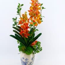 橘萬代蘭青花瓷花禮 免運專人配送限雙北市 其餘地區需補運費