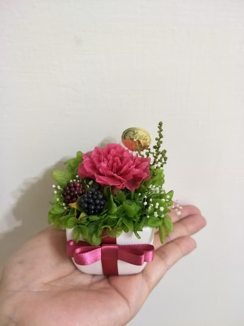 l 小心意迷你康乃馨不凋花禮 l *感恩*感謝*永生花*禮物*母親節*