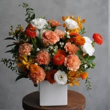 明亮朝氣橘黃色系盆花_鮮花