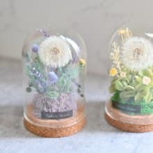 永生蒲公英 I 玻璃盅罩 I 夢想守護小物