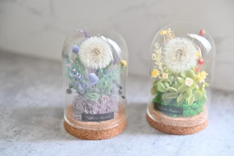 永生蒲公英 I 玻璃盅罩 I 夢想守護小物