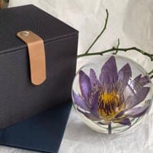 紫色睡蓮水晶球 植物標本禮品