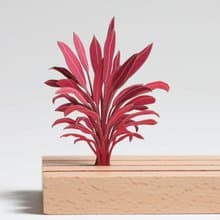 【立體植物貼紙】龍舌蘭科朱蕉 (605029) FingerART紙雕紙藝術