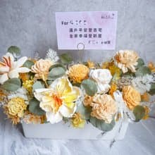 長盆大型乾燥花盆花【燦爛如昔】乾燥花盆花/開幕賀禮/新婚