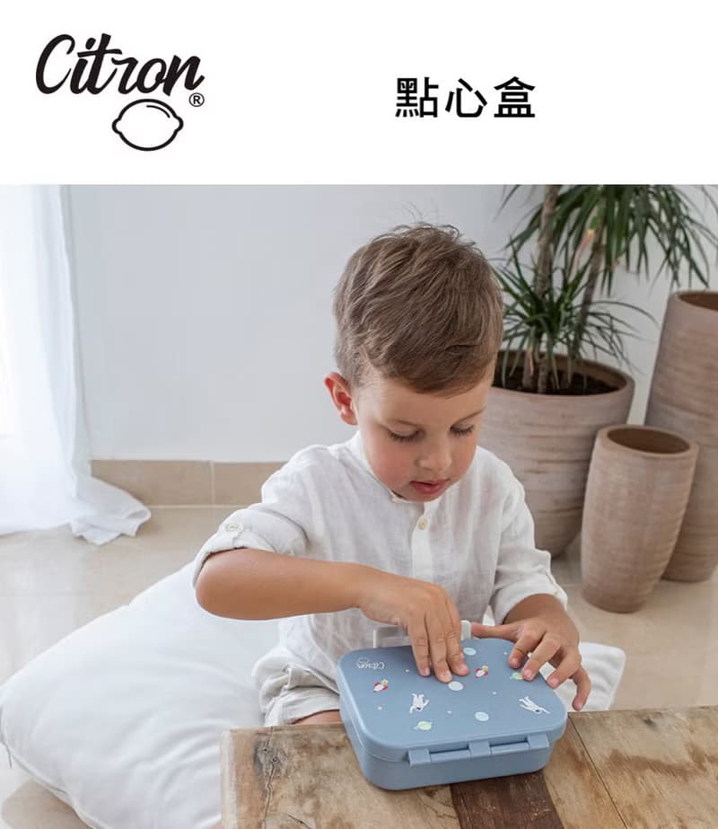 快速到貨【Citron】點心盒_甜美櫻桃