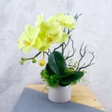 綠蝴蝶蘭香氛花藝/仿真花/禮物/佈置/人造花/花禮