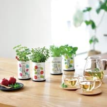 Grow Flavor 花草茶植物栽培組(兩款)