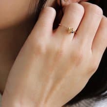 【花壇 a kadan】春日紫陽愛心繡球藍寶戒