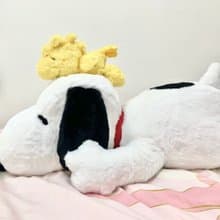 Snoopy & Woodstock 史努比和糊塗塔克玩偶2入組(小黃鳥+史奴比)