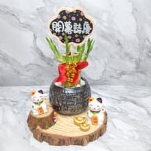 質感鐵灰銀小禮盆 開運竹 萬年青 開幕 升遷 入厝 喬遷 禮物 水耕