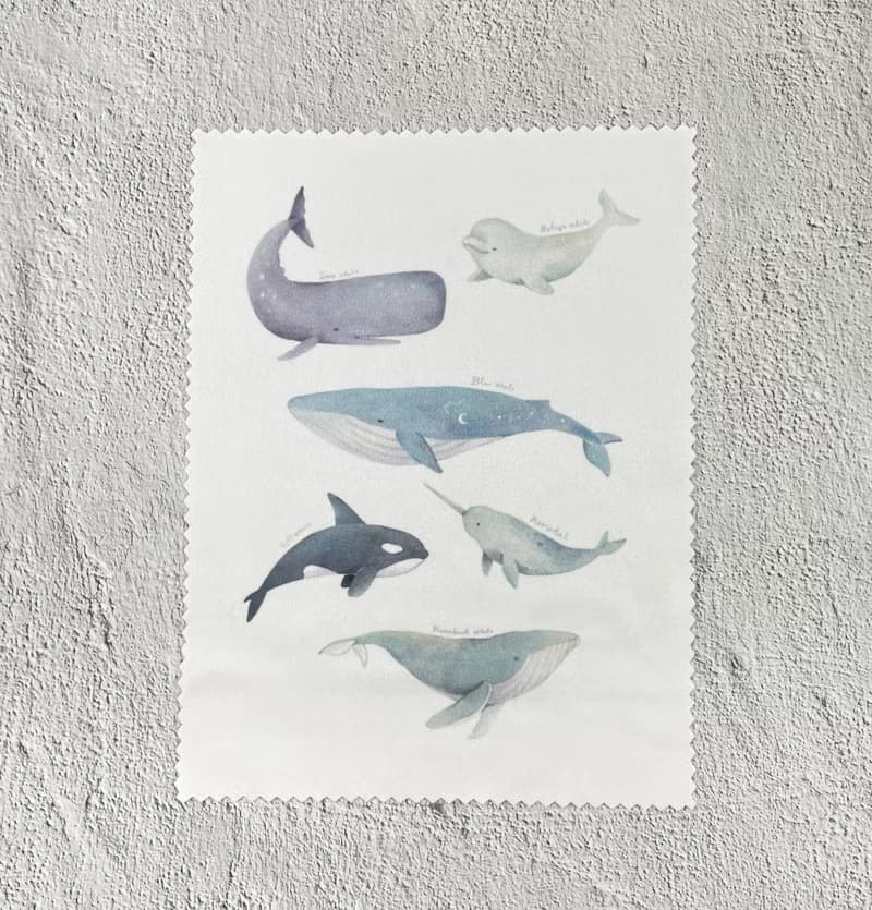 | 微光Ocean | 擦拭布_海洋系列