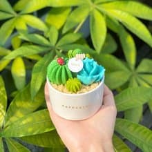 多肉植物盆栽蠟燭 | 手工仙人掌香氛蠟燭