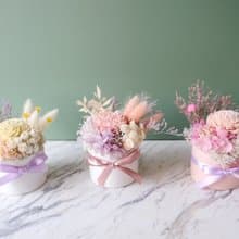 Goody Bag - 小盆花不凋花、永生花、乾燥花盆栽 2個一組福袋