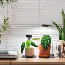 ONF MIST O 植霧光 專屬支架  需另購MIST O植物燈