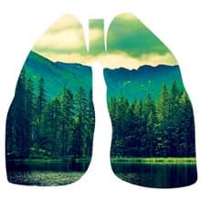 Lung Fresh 中性短袖T恤 白色 新鮮肺森林禮物夏日穿搭快速出貨