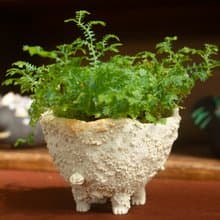 白巧克力奶油獸 盆器 植栽 花器 手作陶藝 獨一無二 禮物 送禮