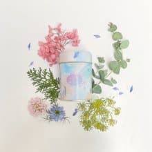 【任選兩罐】晨曦柚抹綠茶 歐洲綠茶 清新的薄荷綠茶混合柚香