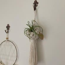 Macrame 編織 水滴 植物 空鳳 仙人掌 掛飾 l 車內室內裝飾