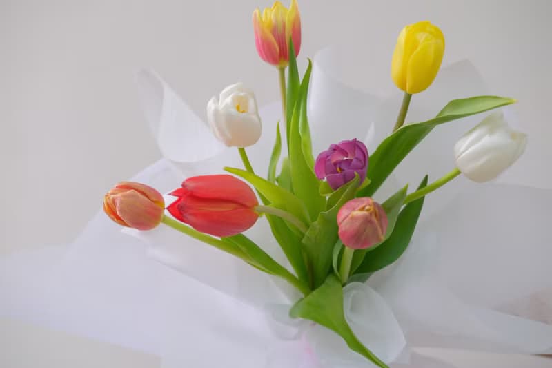 2025情人節 鬱金香韓式花束  生日花束 女友禮物