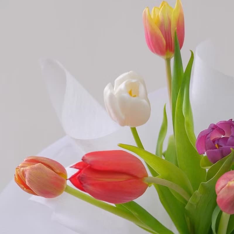 2025情人節 鬱金香韓式花束  生日花束 女友禮物