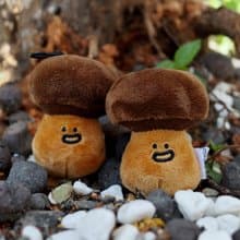 雨過山原創牛肝菌毛絨掛件可愛蘑菇包掛件搞笑鑰匙扣玩偶小公仔