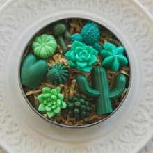 多肉植物 造型手工皂 【大盒】