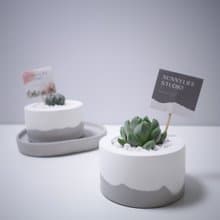 經典圓雪山款水泥盆 / 多肉植物 / 仙人掌 (附小島底盤)