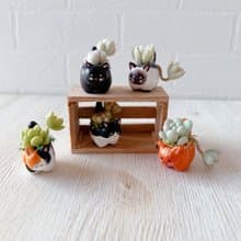 【仿真黏土多肉植物組盆-迷你貓咪盆5入組(含小木箱)】接單製作款
