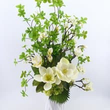 洋玉蘭日本吊鐘樹花禮 免運專人配送限雙北市 其餘地區需補運費