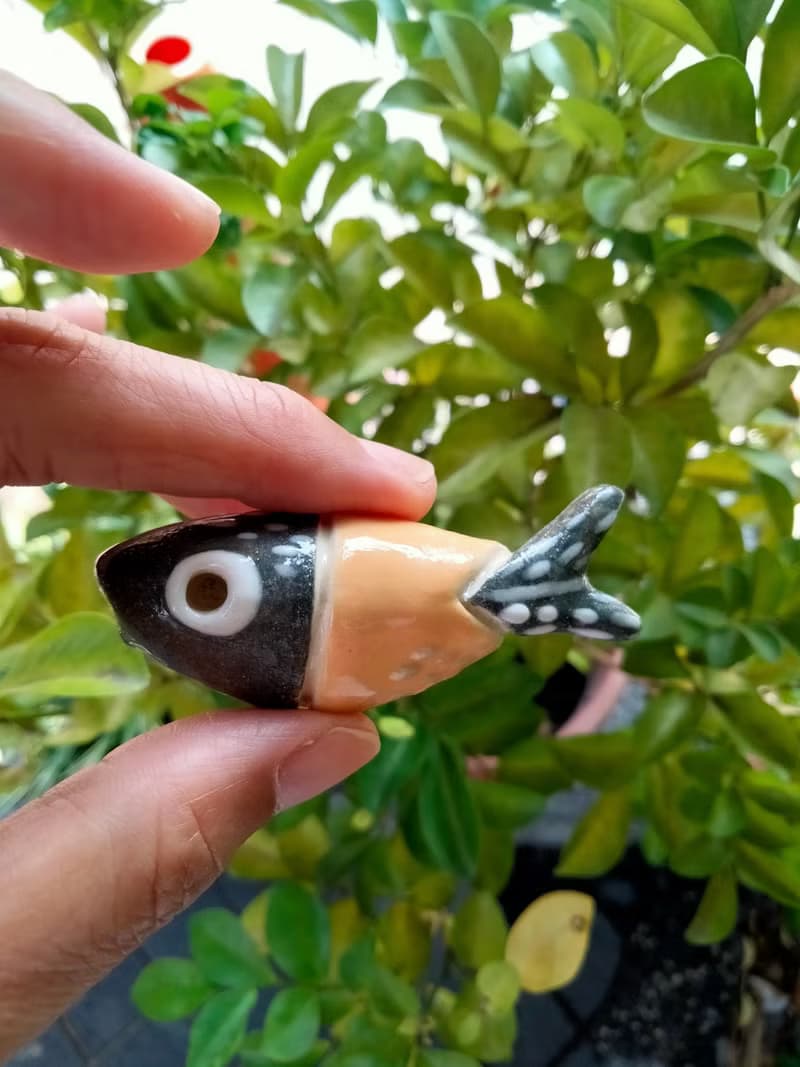 專注的小黑喵愛吃香魚香插座