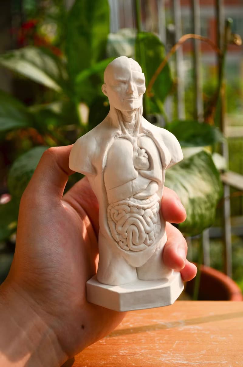 人體解剖擴香石Aroma stone聖誕禮盒組 附贈1ml香氛精油
