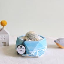 白星 • 海洋藍裂紋鑽石水泥盆栽