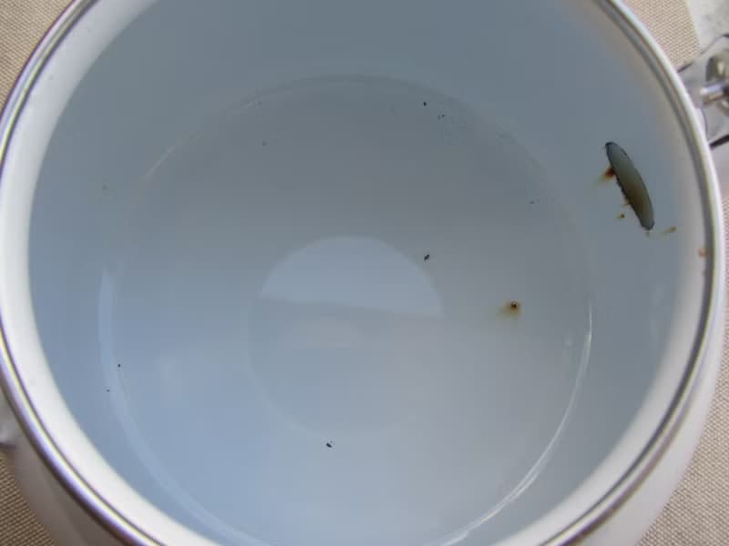 【老時光 OLD-TIME】早期二手珐琅水壺