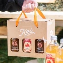 Kai 有機活酵康普茶 6入經典熱銷組合